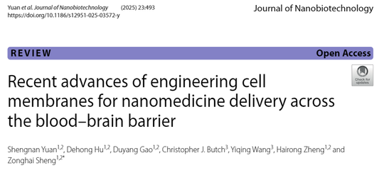 細(xì)胞膜工程仿生納米技術(shù) 突破血腦屏障的腦病治療新紀(jì)元