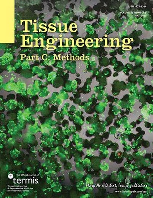 3D干細胞大規模制備工藝榮登國際期刊封面，華龕生物引領細胞技術新突破